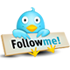 twitter ico